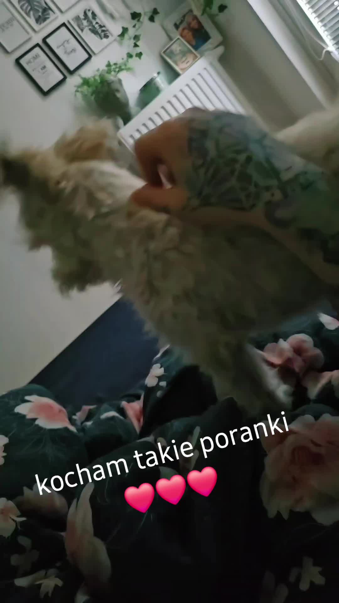 @Bad_overr