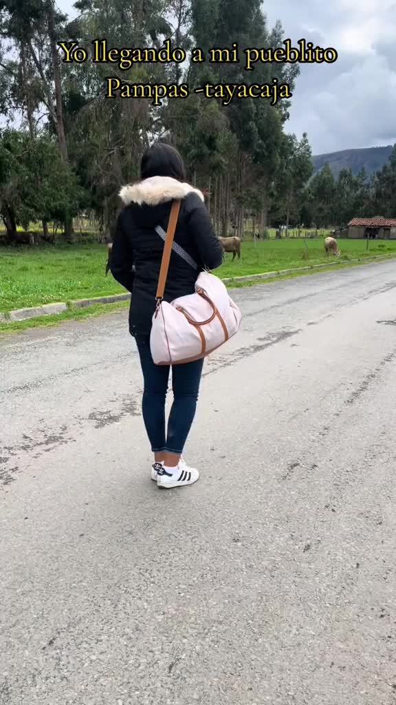 @🦄Misee ❤️🩹
