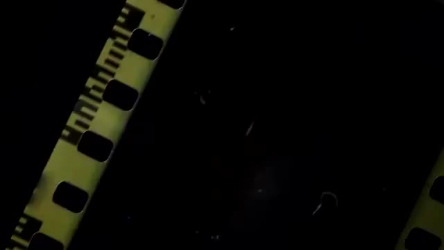 @ярик праздник