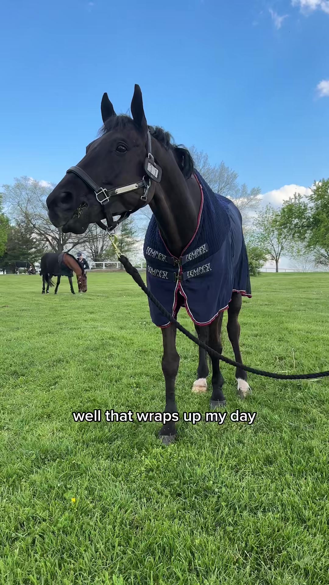 @Boyd Martin
