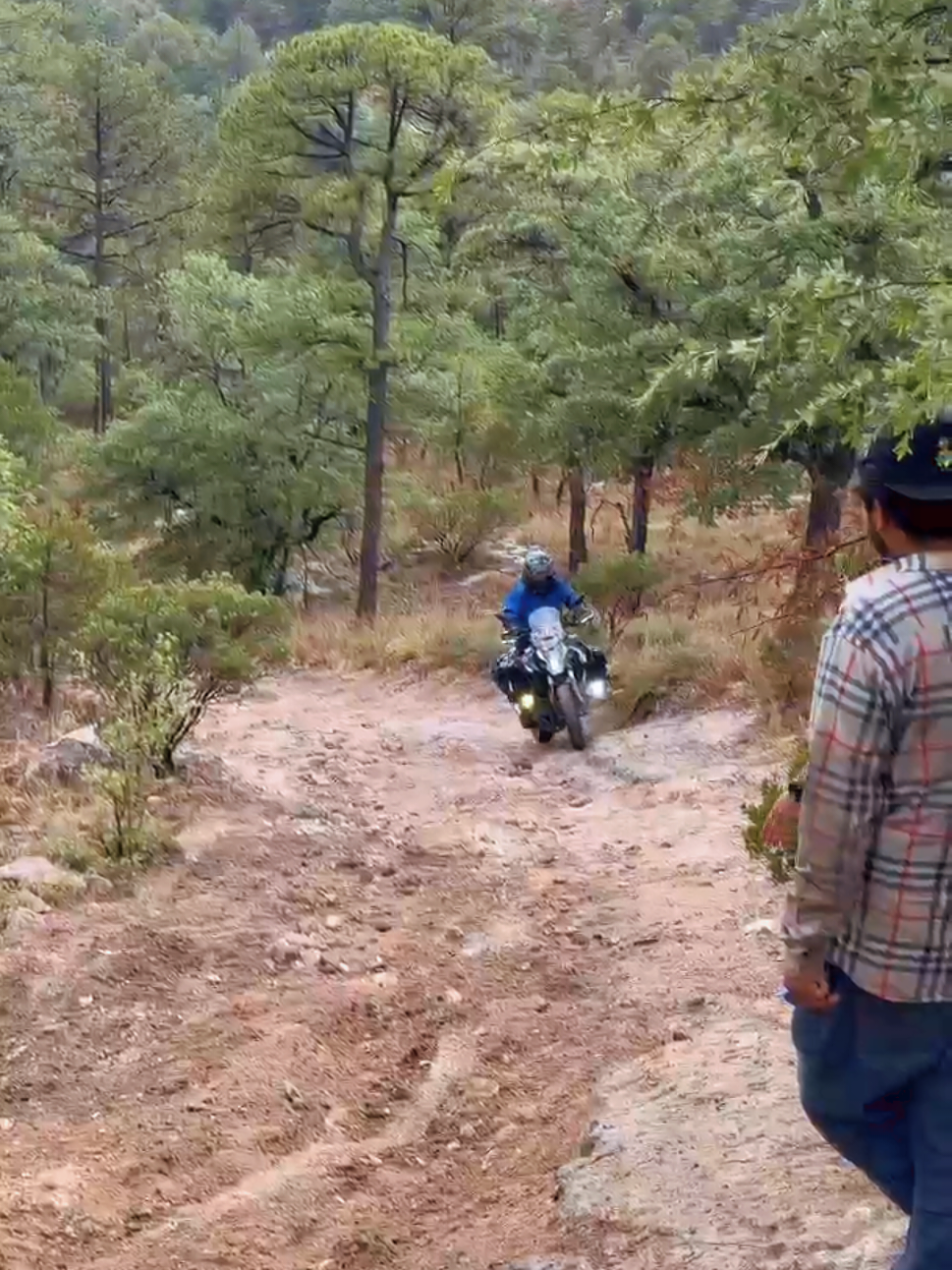 @Black Sheep Trail