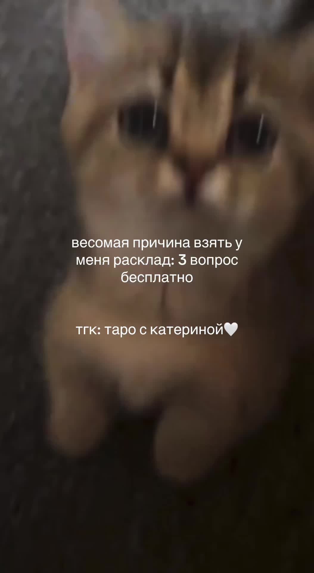 @комфорт таро