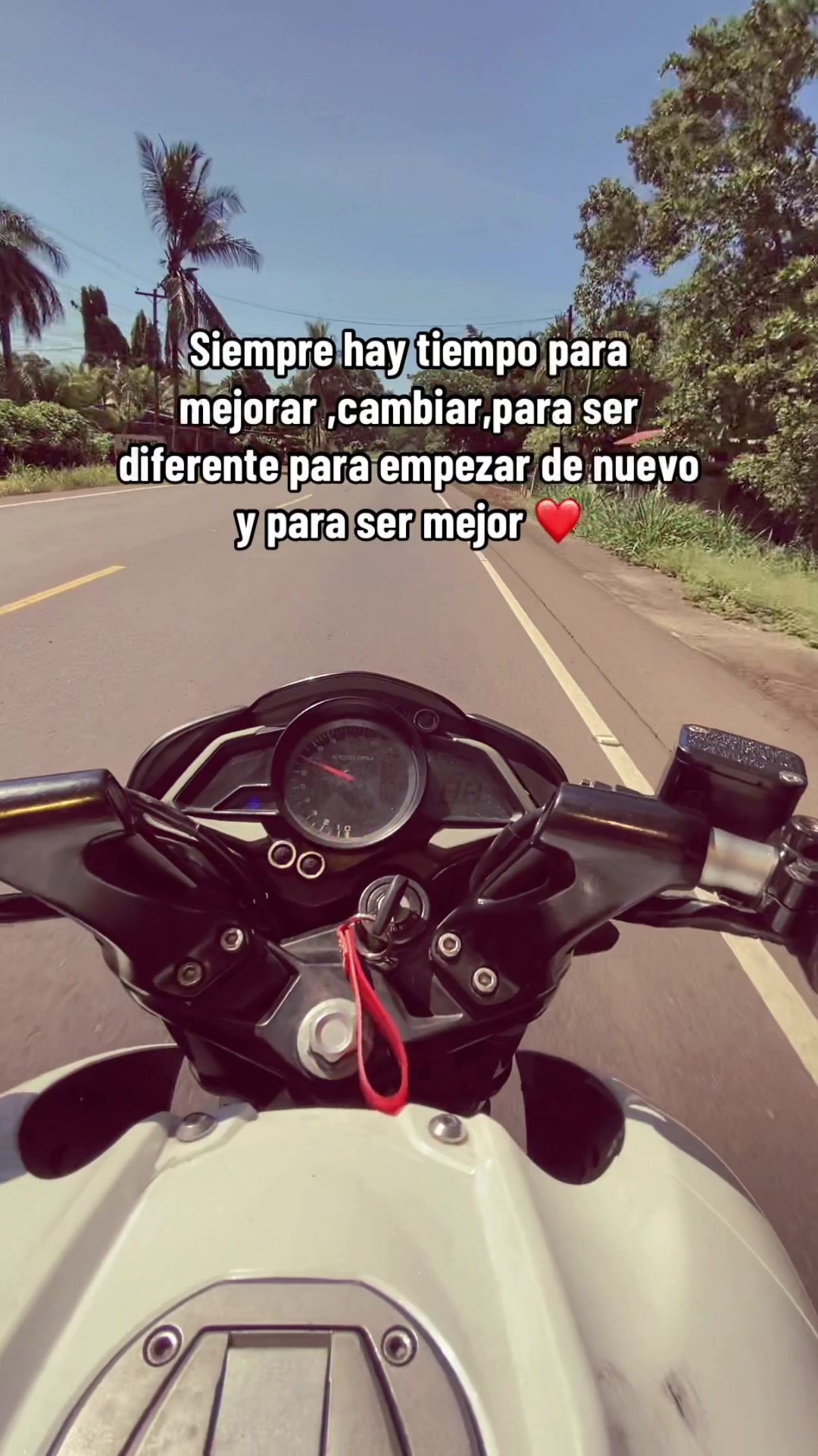 @EL PANTERA