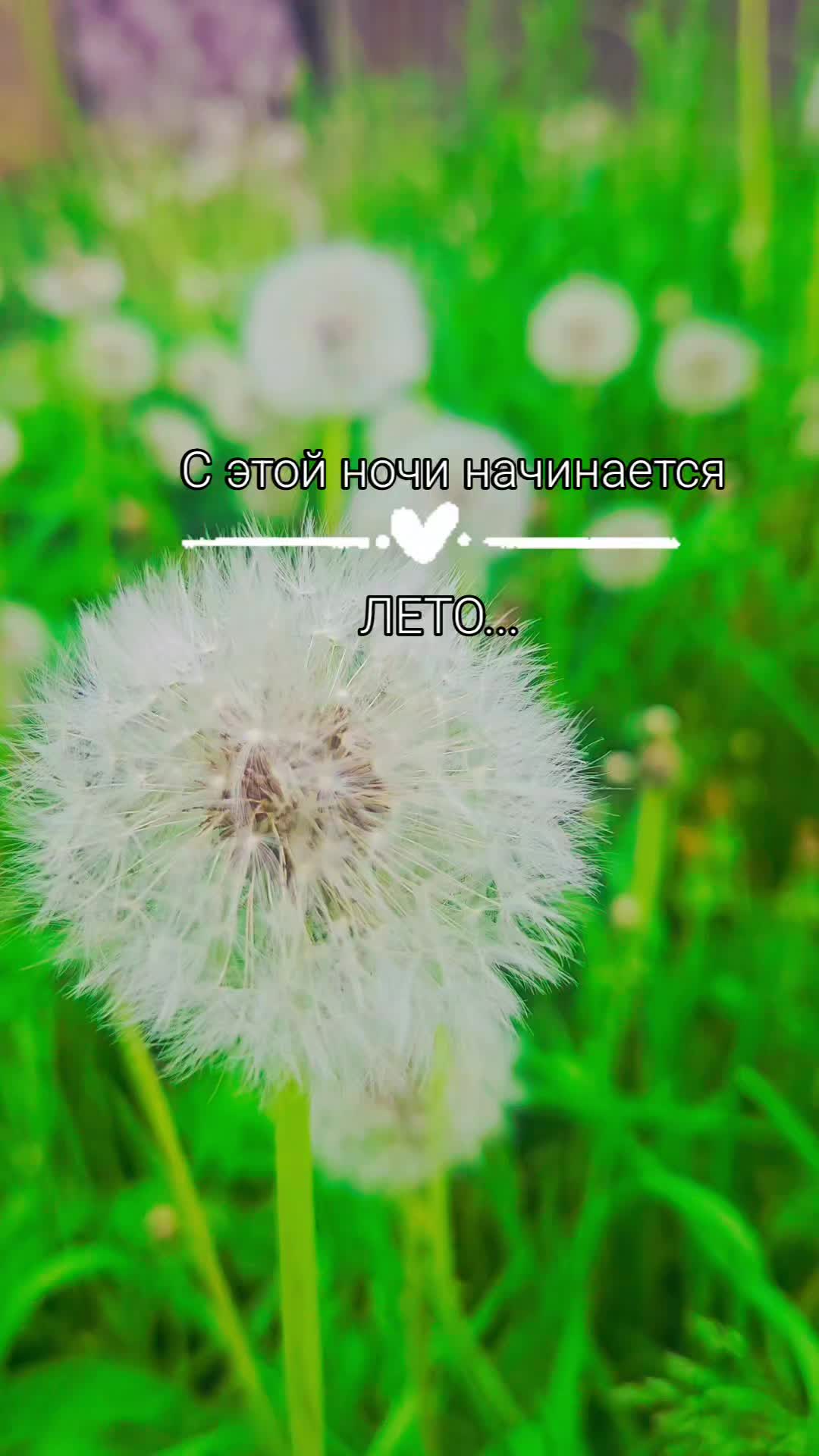 @Irina Asc