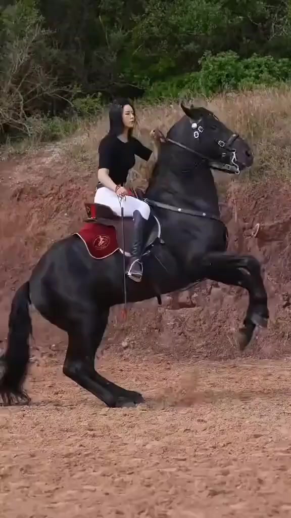 @Só Modão