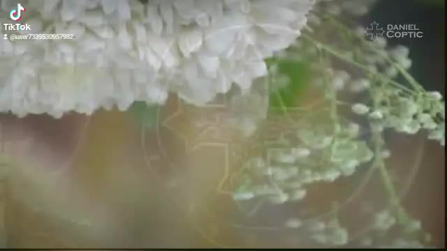 @تلميذ المسيح ✝️