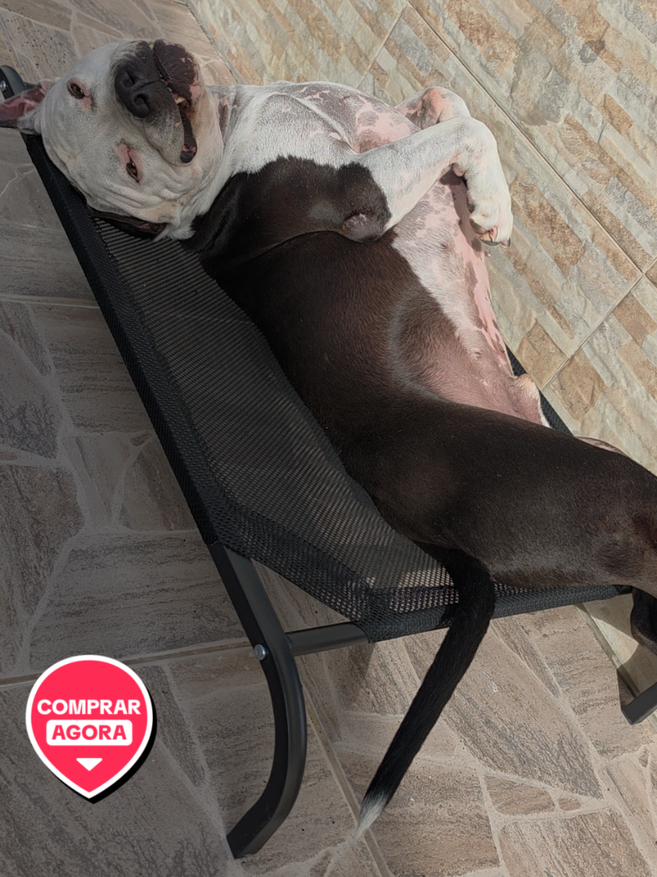 @Pittbull Brucegriebeler