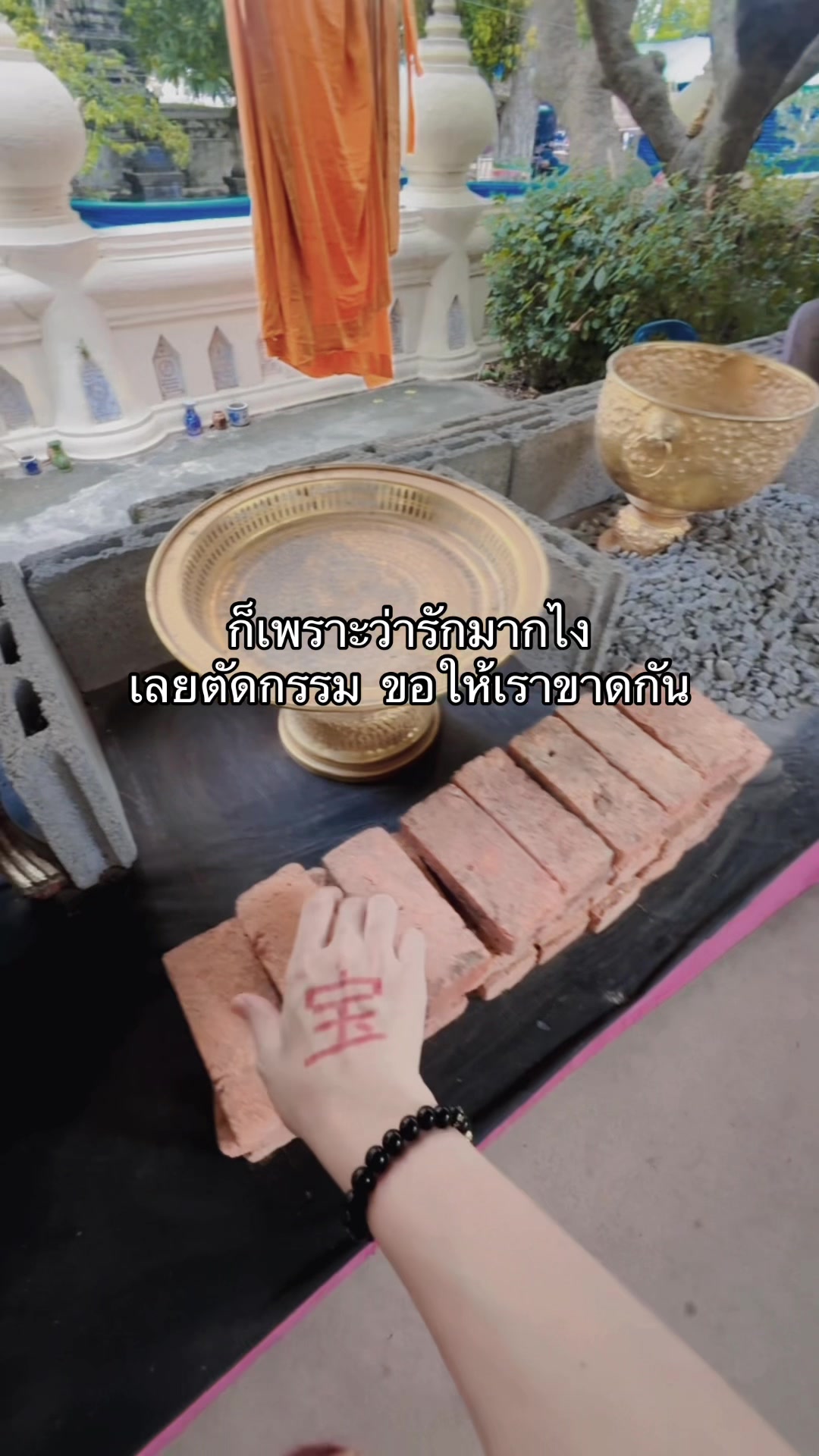 @ชีว๊าสส‘ส ชวาร็อฟกี้