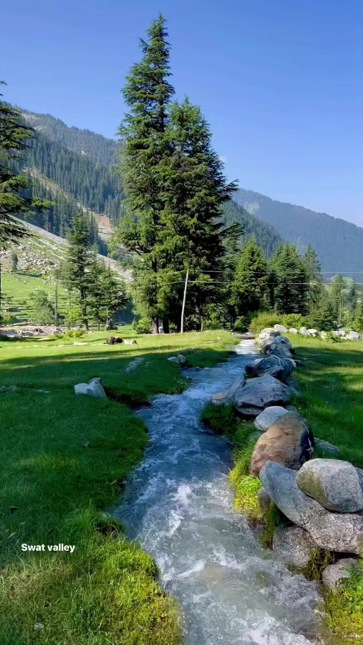 @واثقه بالله