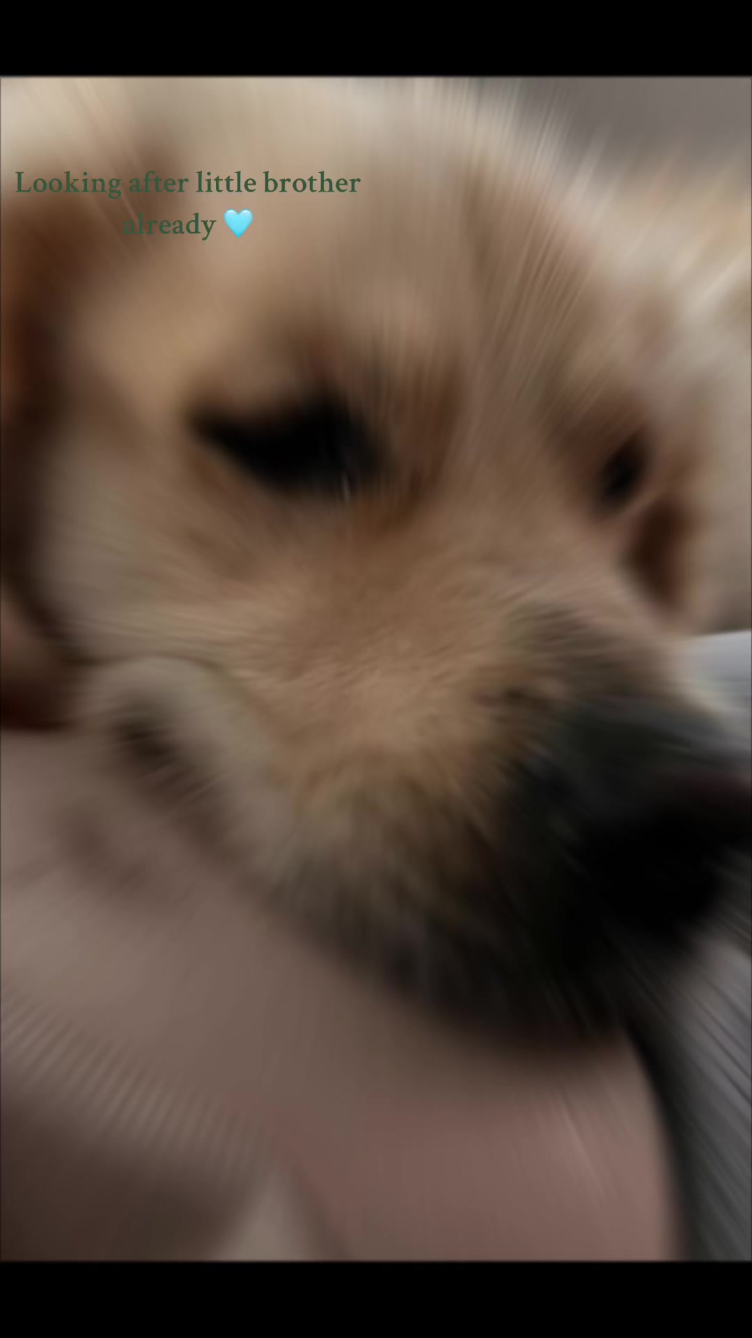 @Pepsi_thegoldenboy