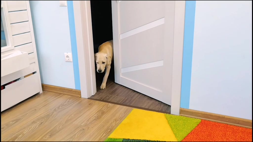 @Смешной Большой Папа