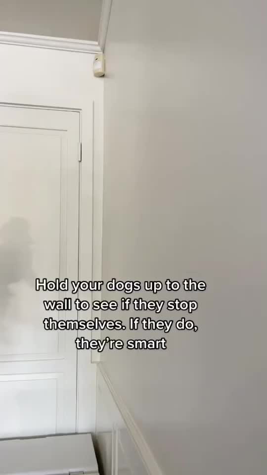 @Love Kate