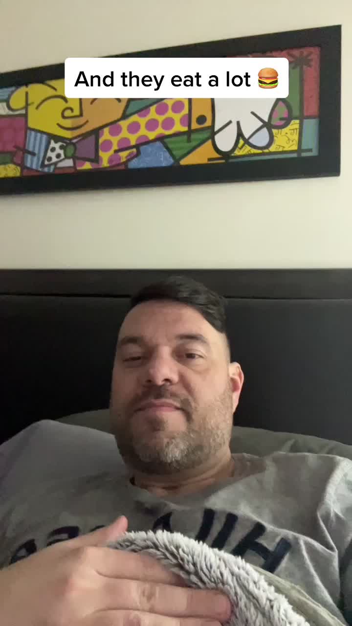 @Sergio De Abreu