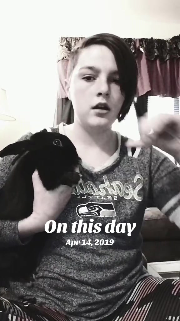 @bridgettell3290