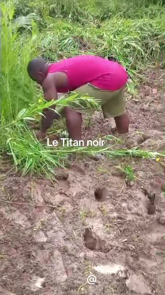 @LE TITAN NOIR
