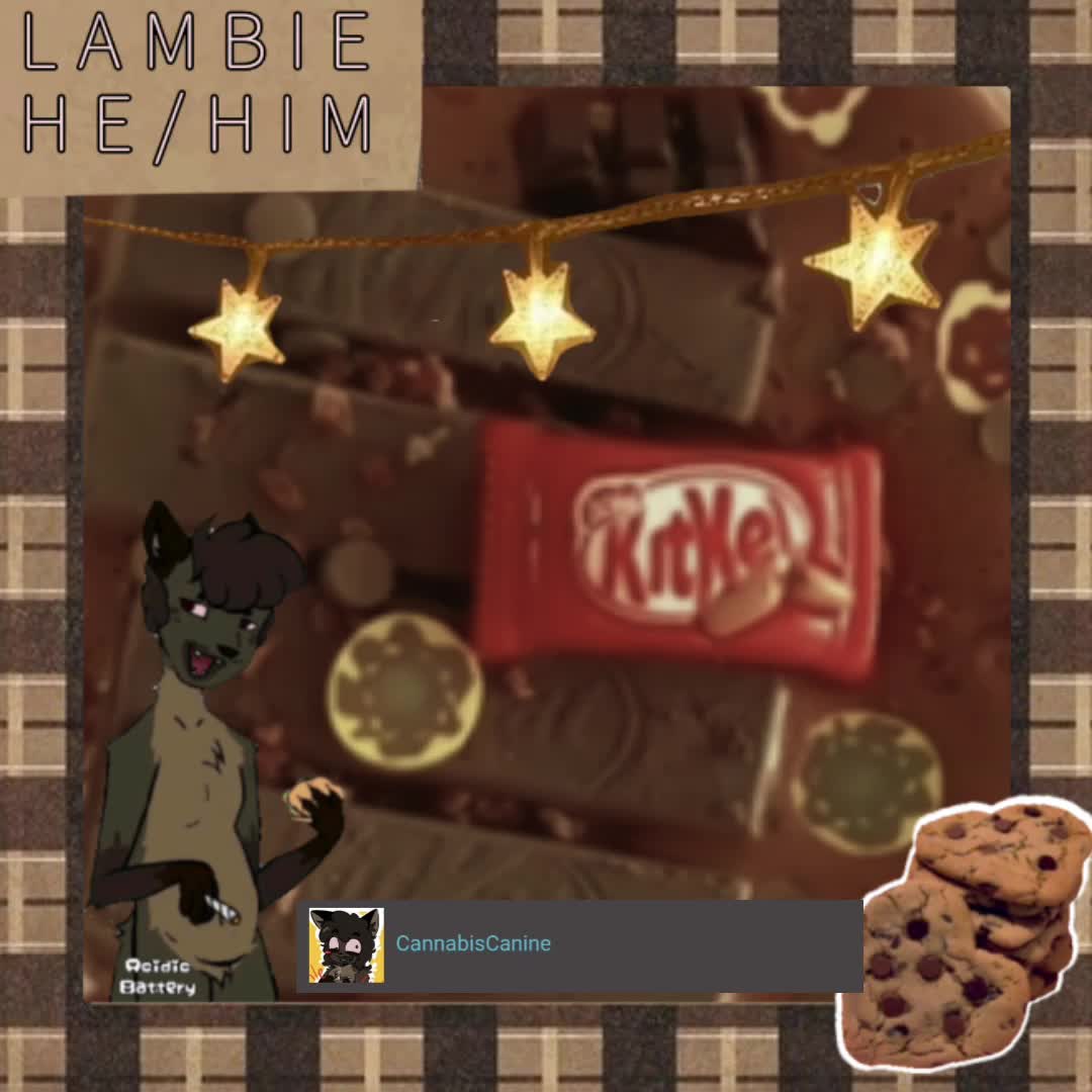 @Lambie Lamb!! 🍃