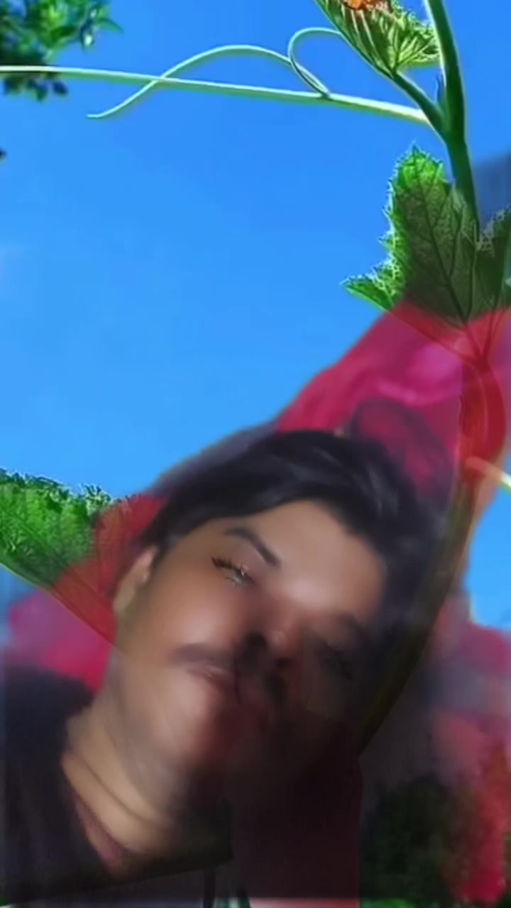 @user310348474715