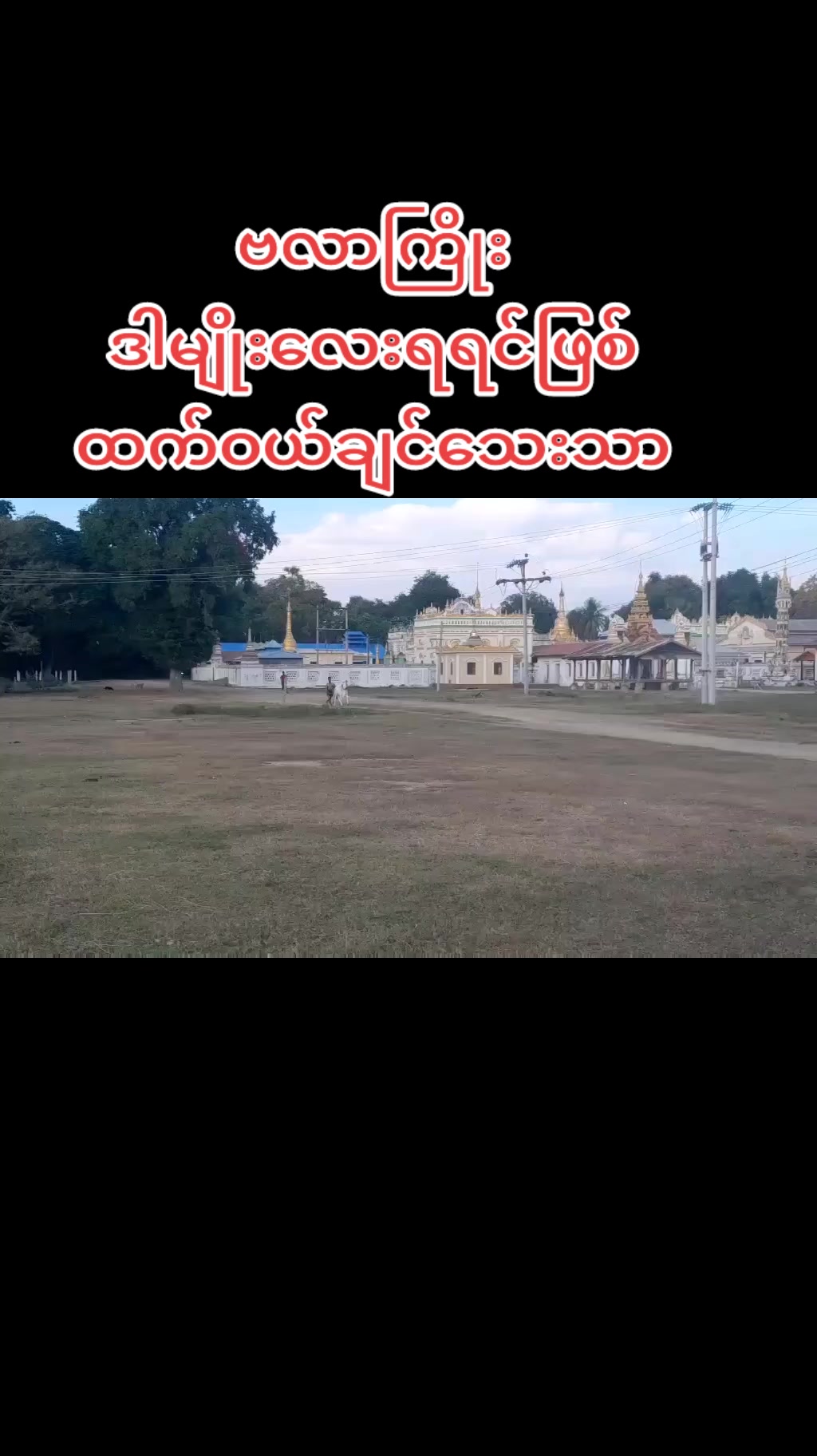 @THAN ZAW WIN
