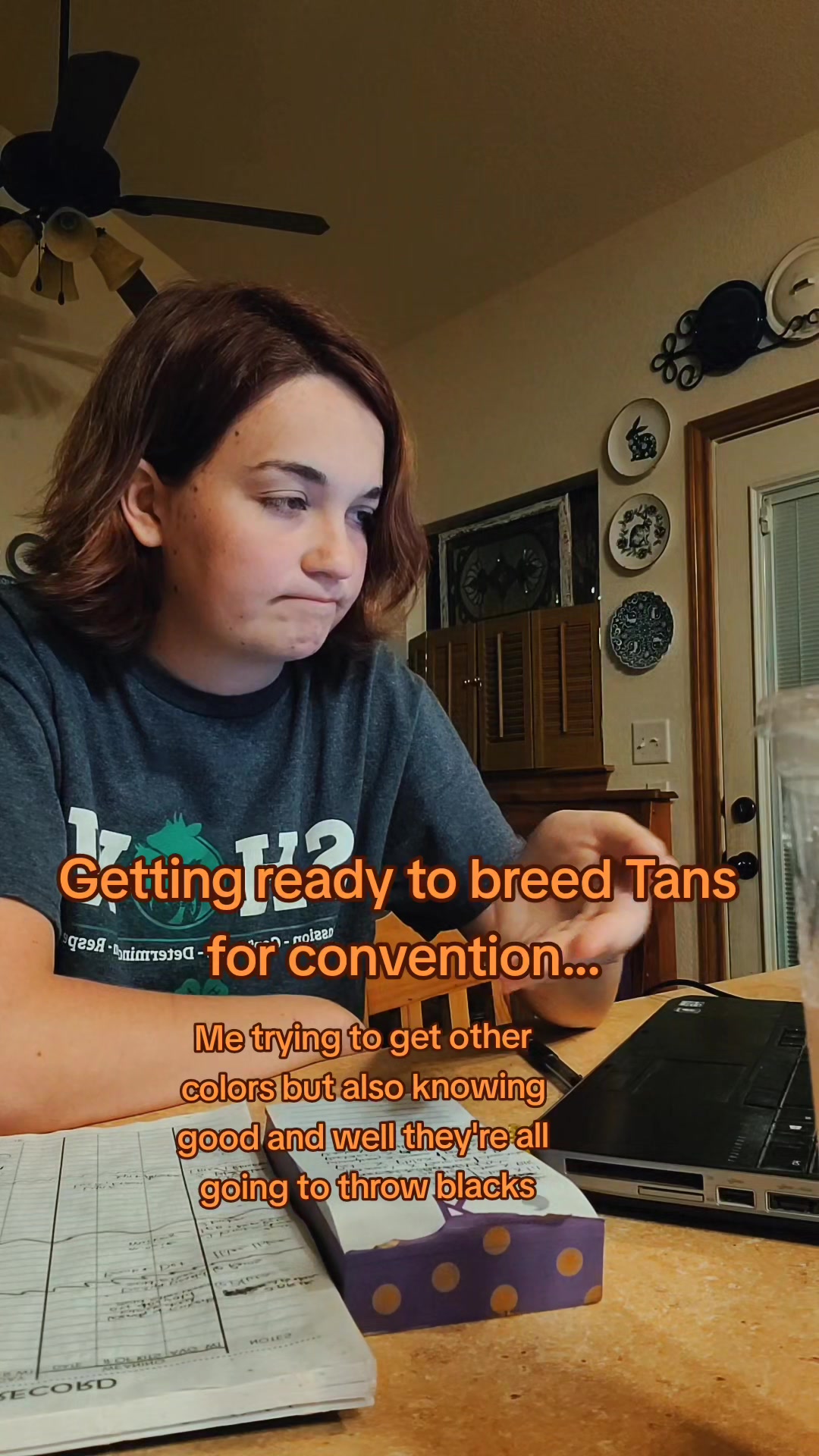 @ToT's Bunny Barn