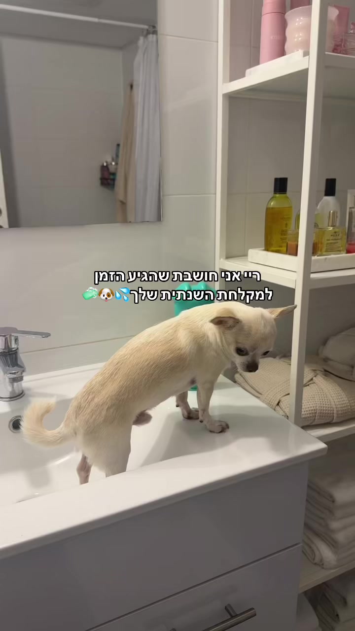 @Ori Novik