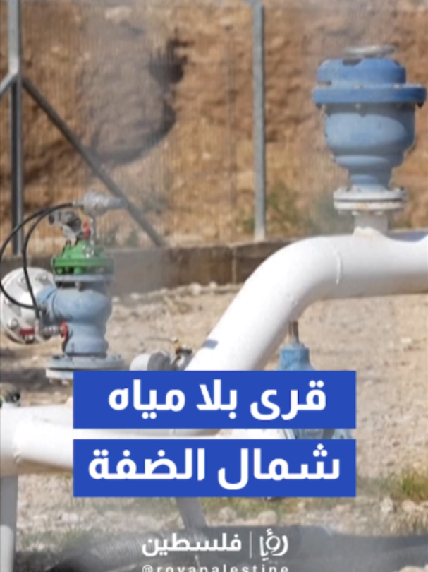 @Royapalestine رؤيا فلسطين