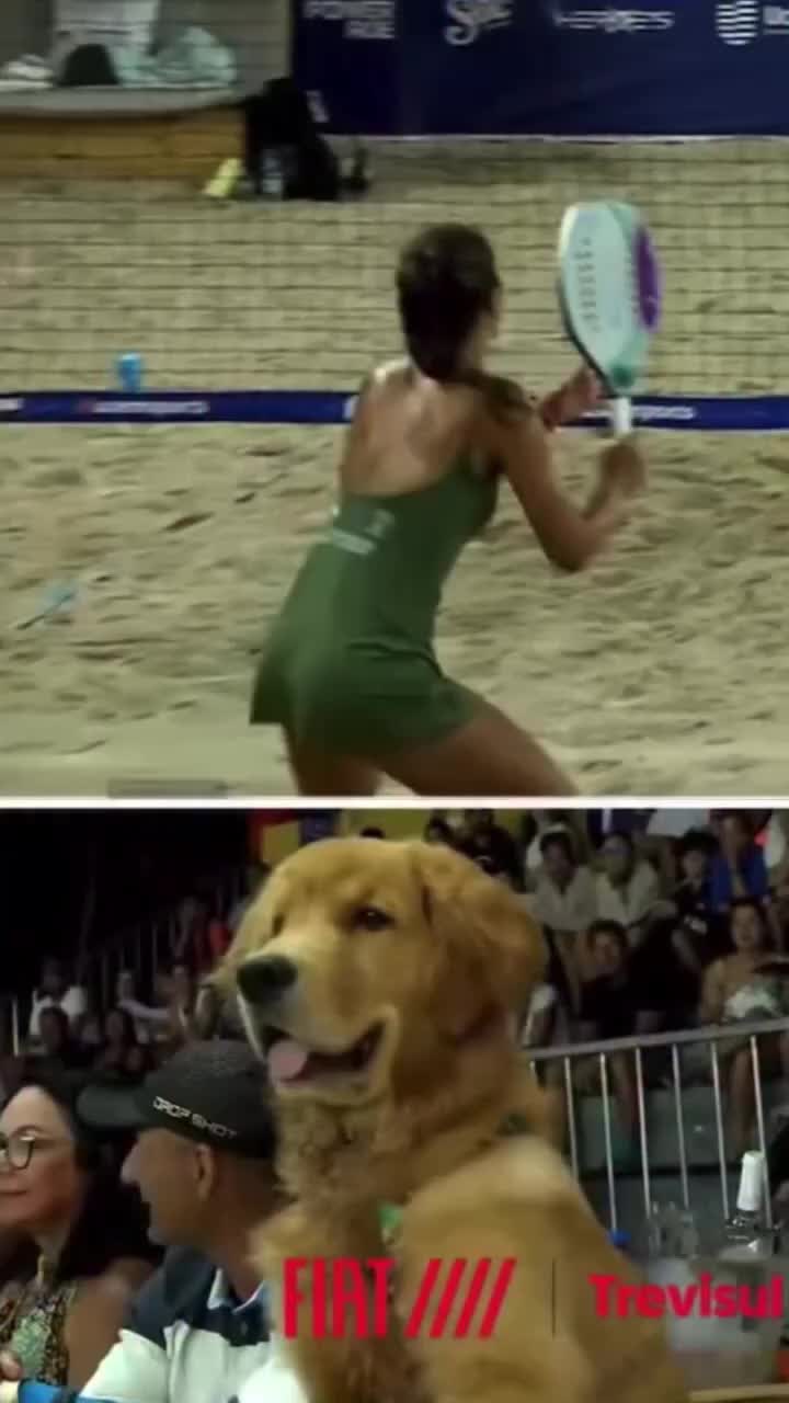 @Beach tennis | tudobt_