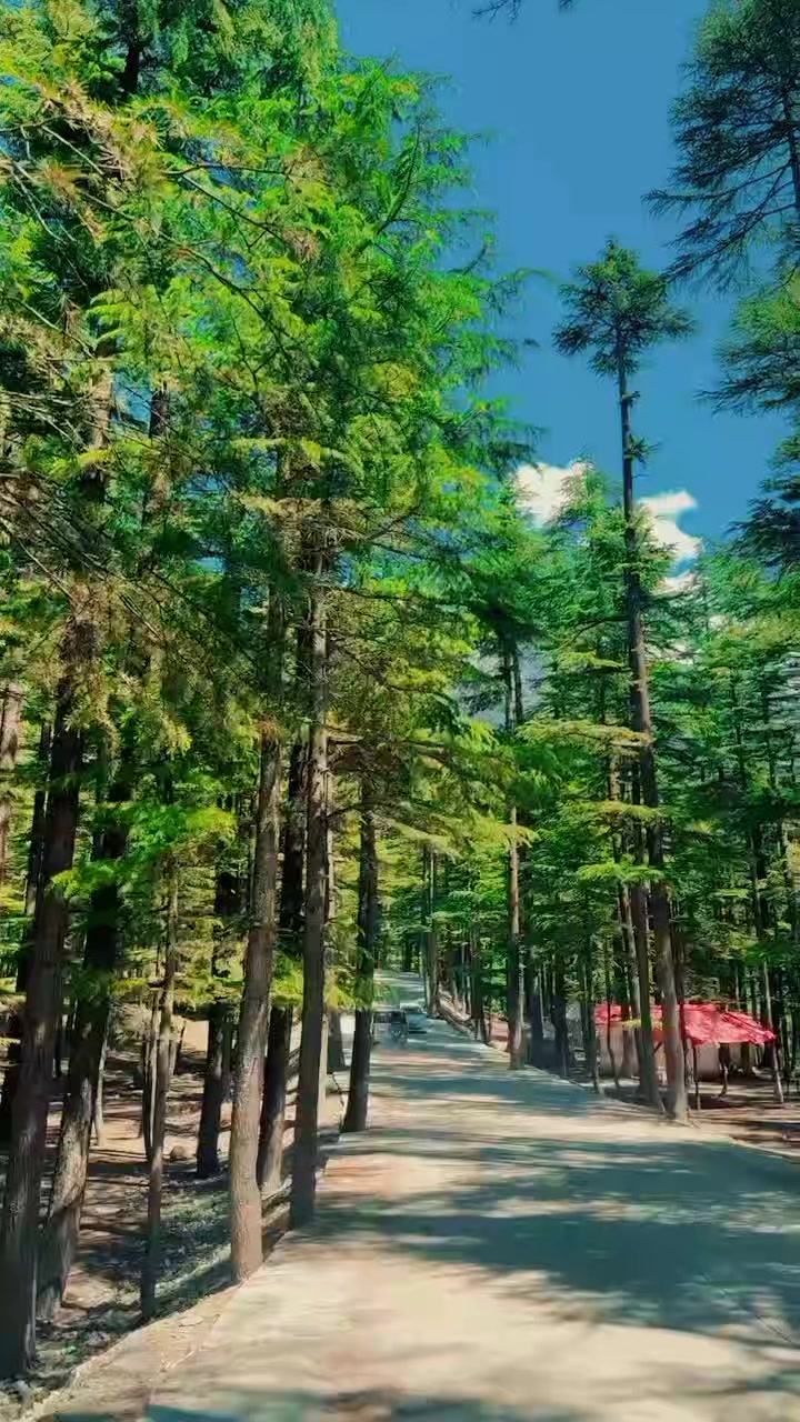 @Ali Sultan