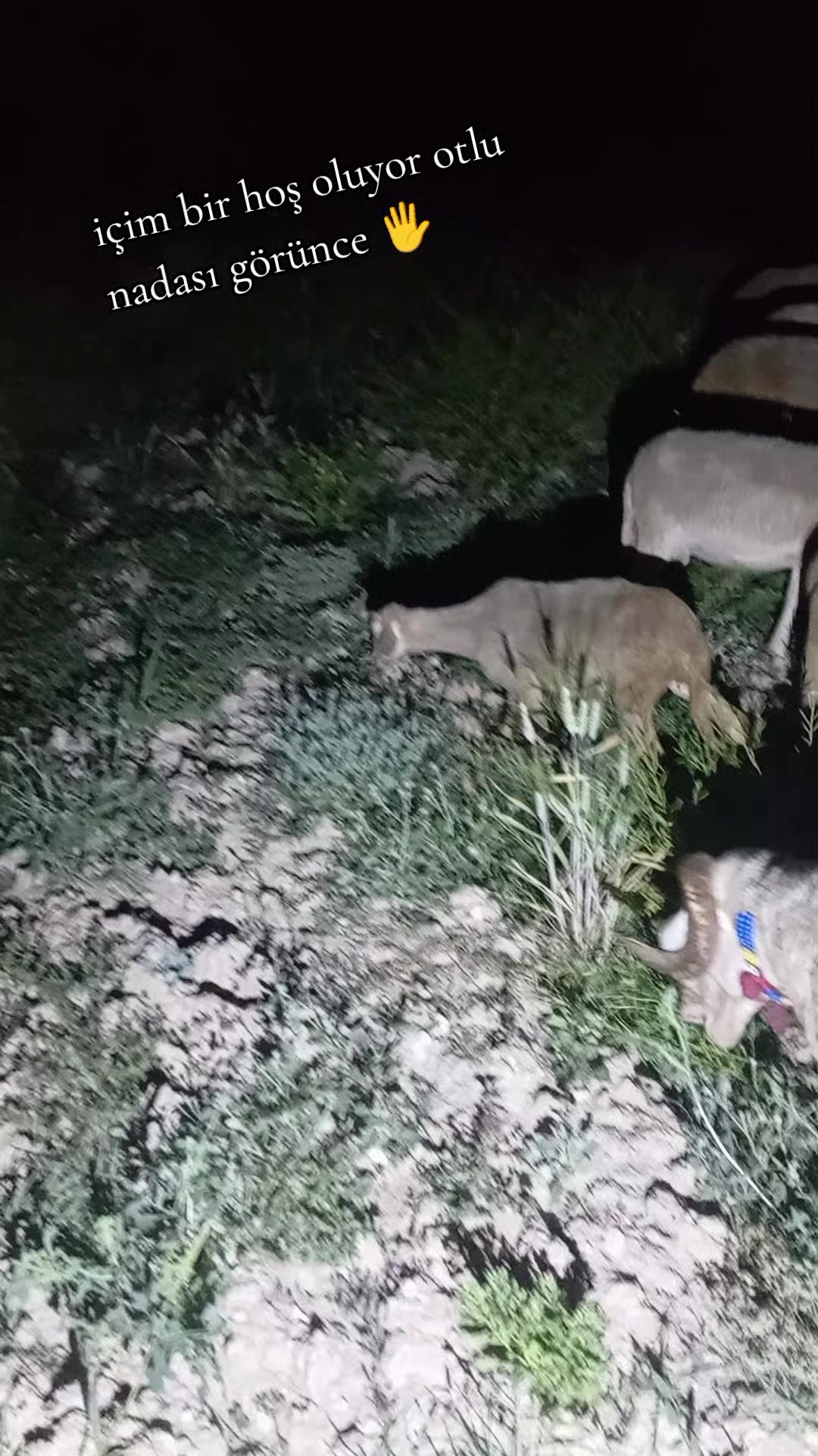 @Furkan STLMŞ 03