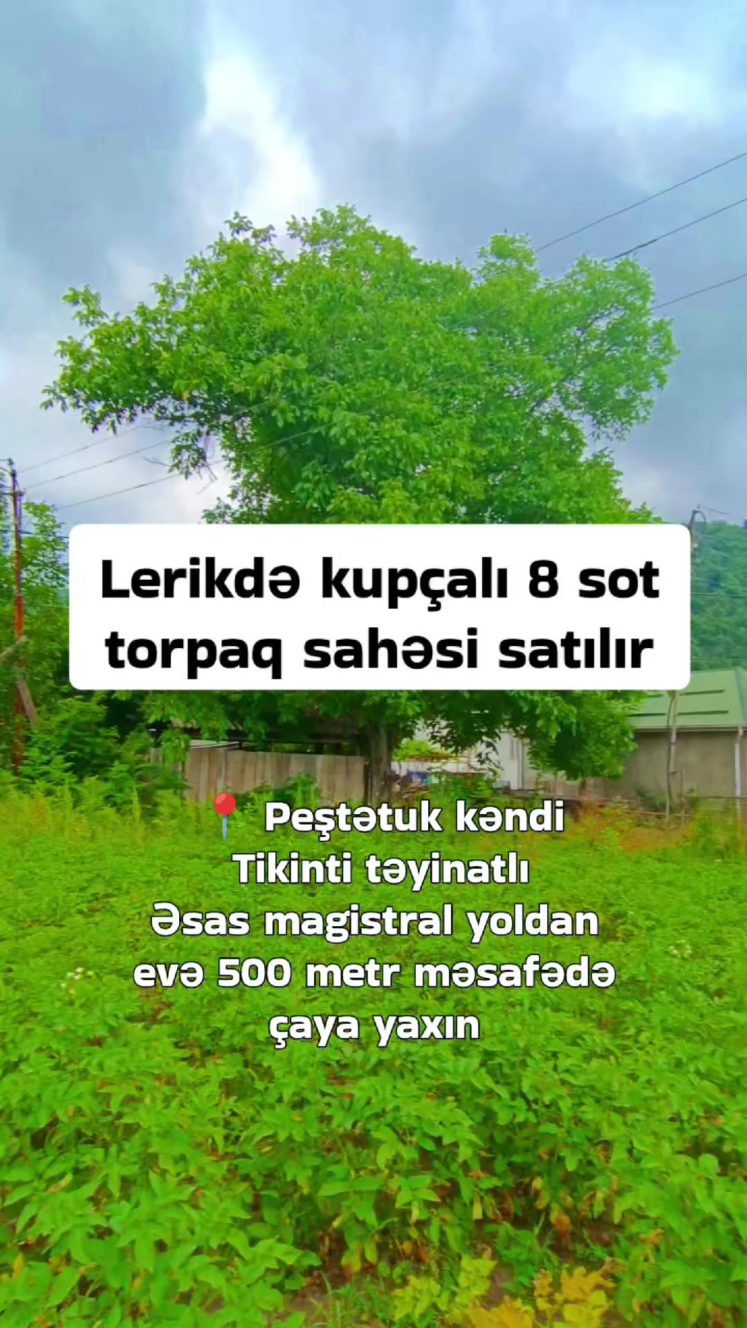 @Lerik Turizm
