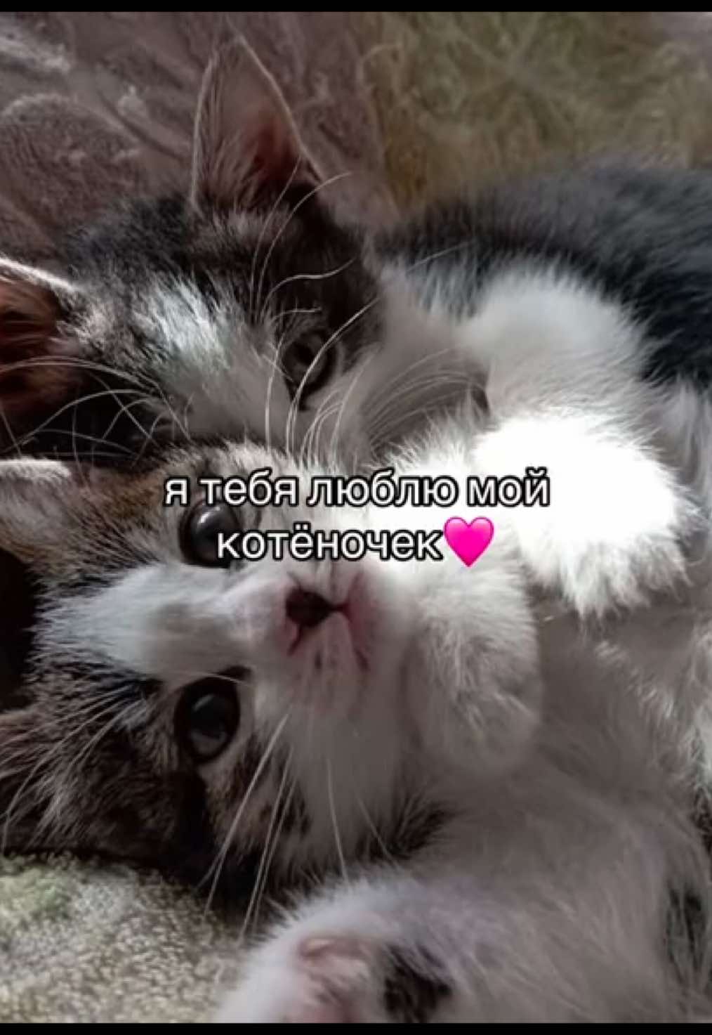 @Х̶И̶Т̶Ы̶ У̶ П̶Л̶И̶Т̶Ы̶🎧