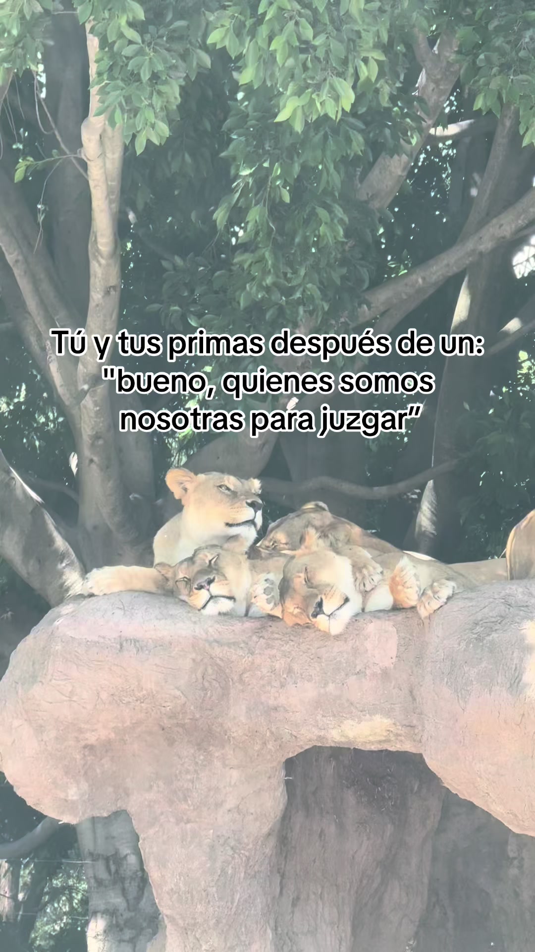 @Magaly SD