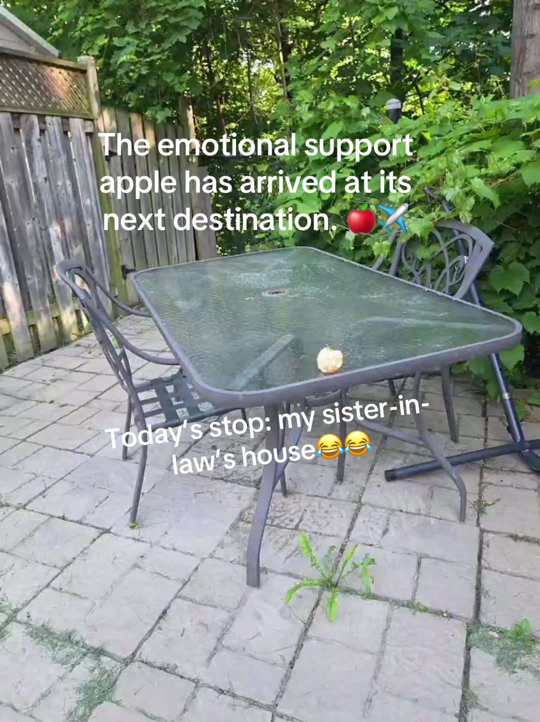 @Gio_thedoulamatchmaker