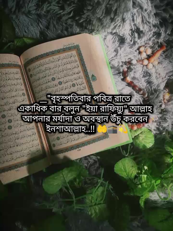 @🐸⎯͢⎯⃝জাতির নানি সাহেবা-♡🐸࿐