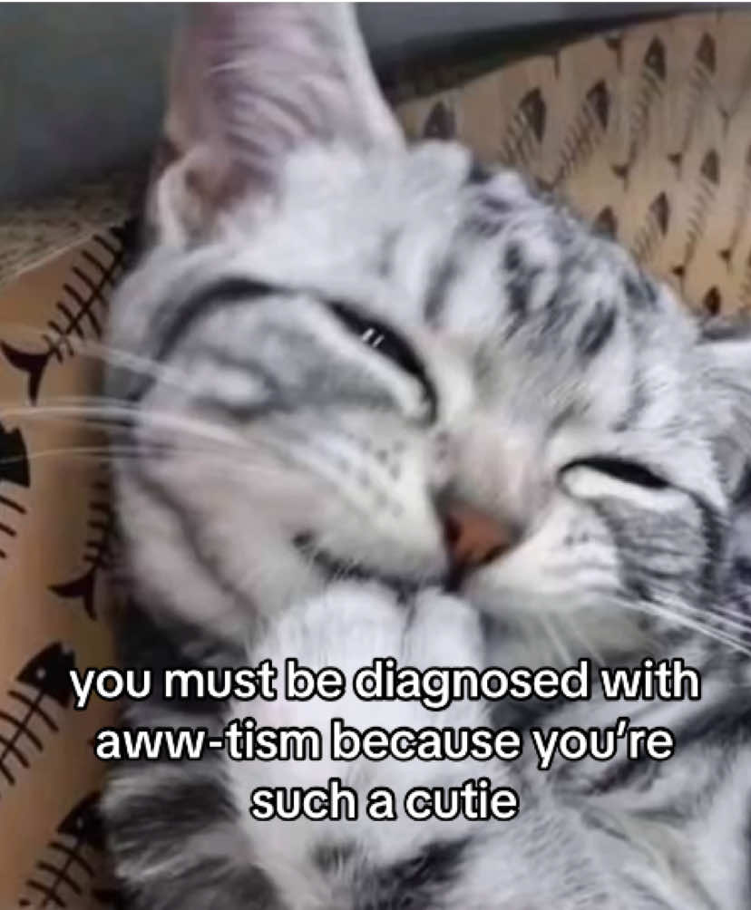 @the meow archive