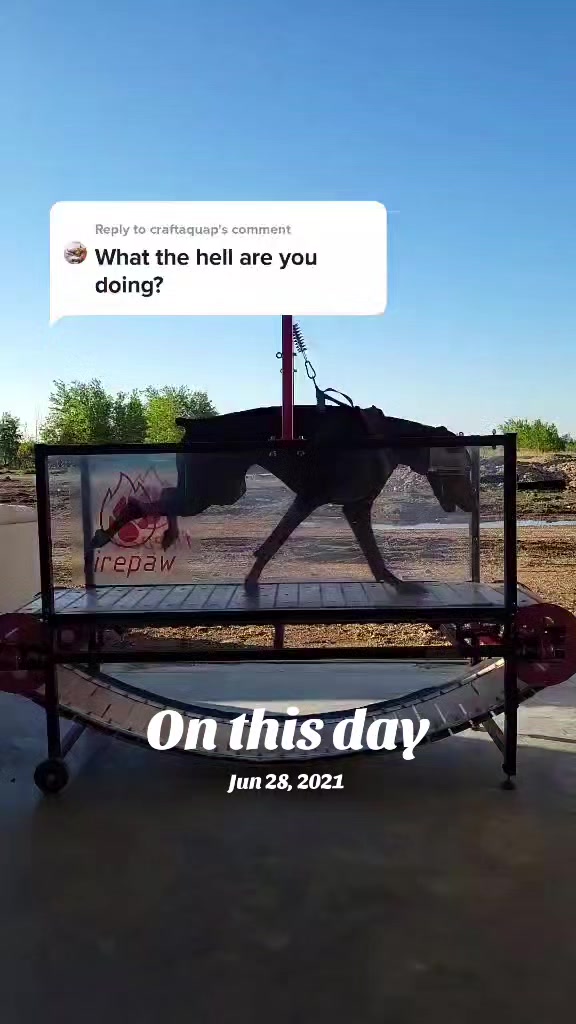 @RaisingHell.Hounds🇨🇦