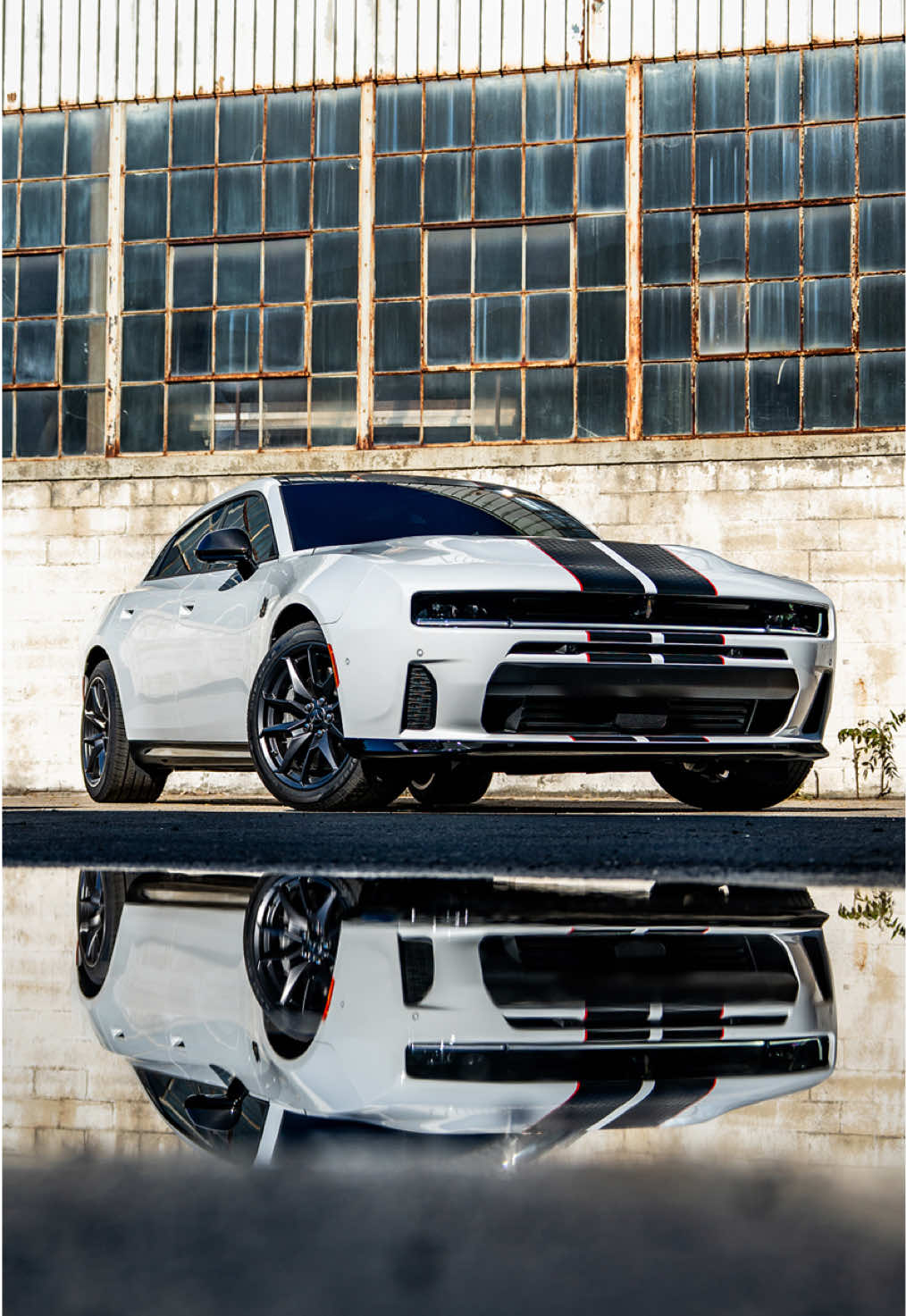 @Dodge