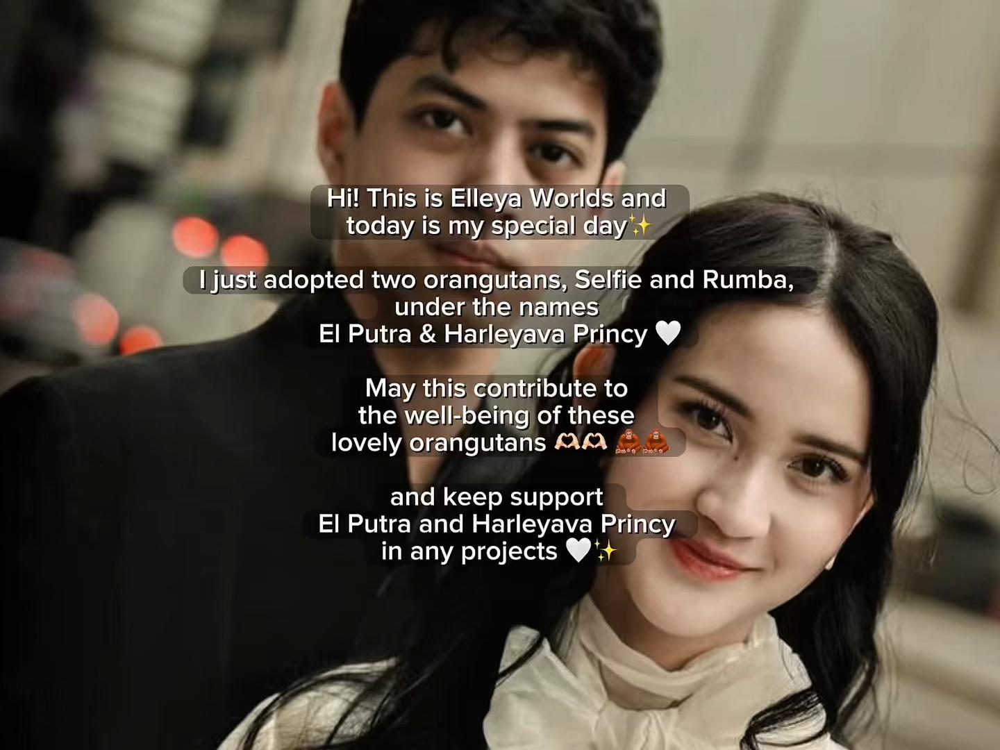 @elleya.worlds