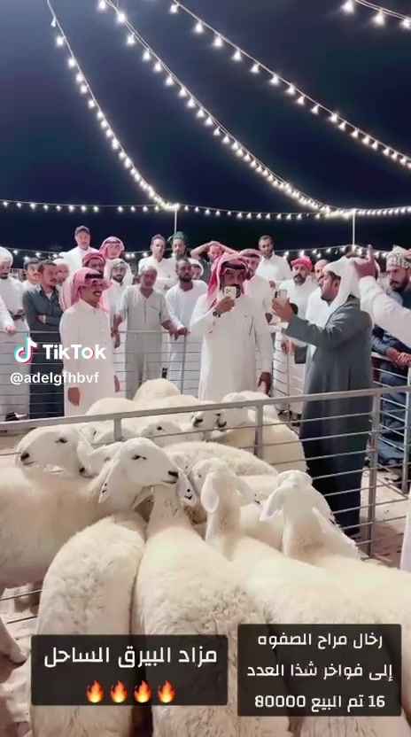 @mohamed_ksa0