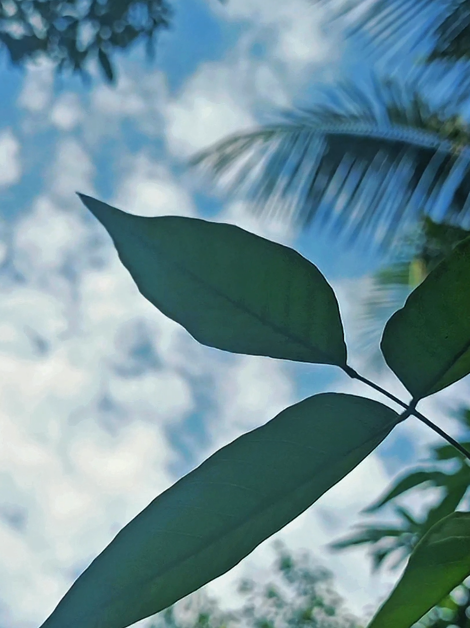 @ʀᴇᴅᴜᴀɴ 