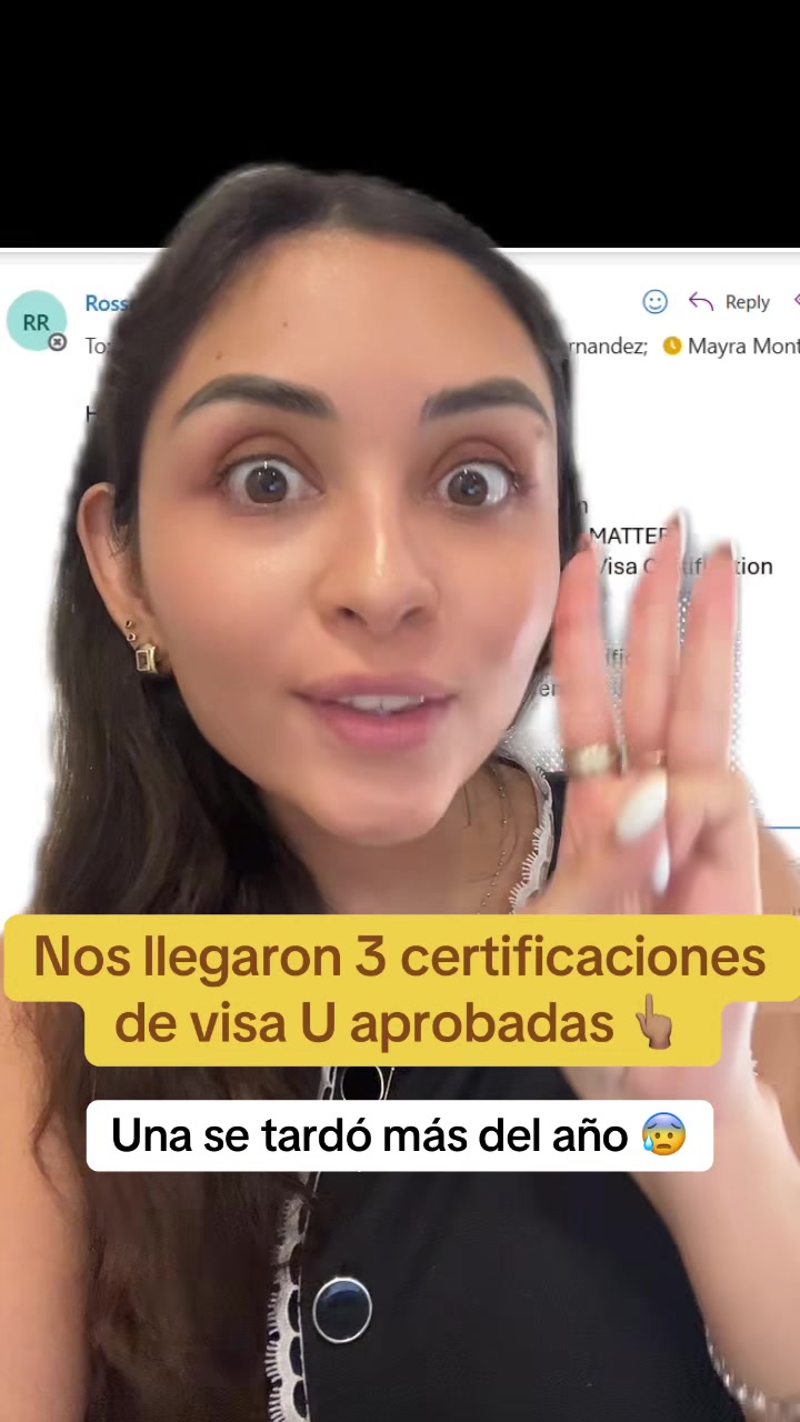 @dienerlawabogados