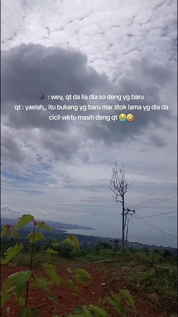 @Baby Hill 🚀