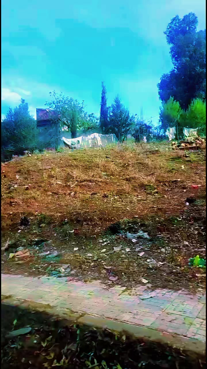 @نوارة 41