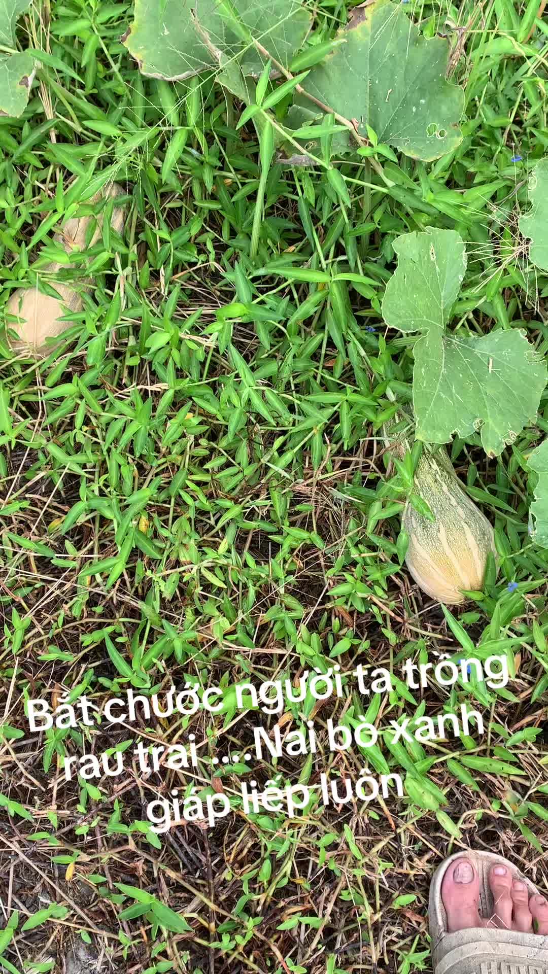@👻👻