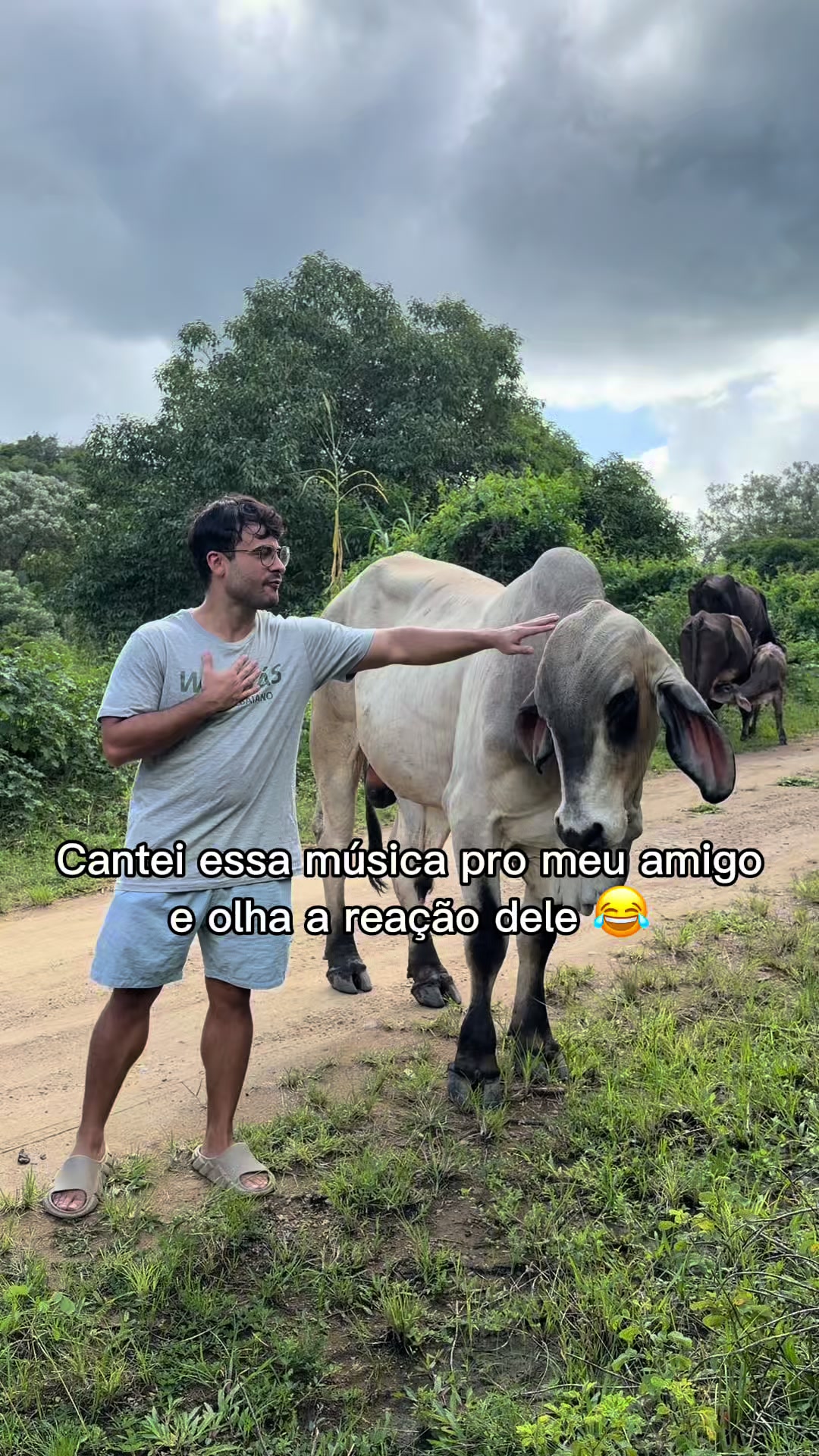 @Enzo O Bruxo