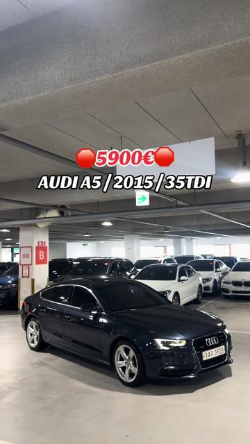 @auto_sonii