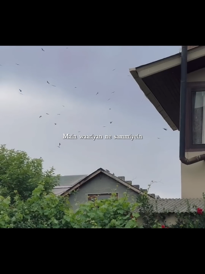 @A.R 🕊️