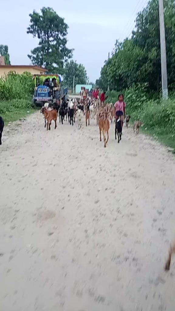 @sadhna__rani