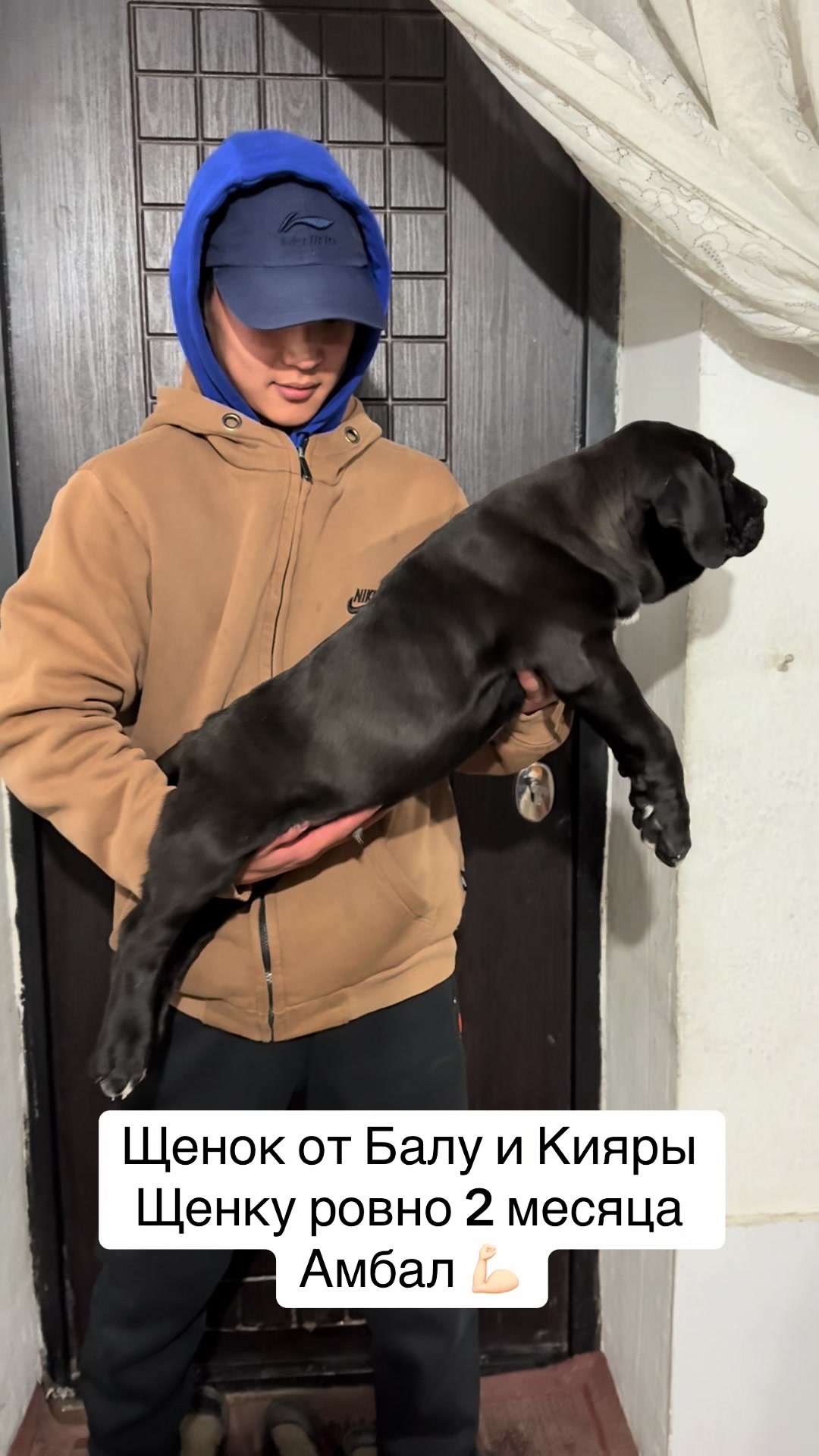 @БАЛУ