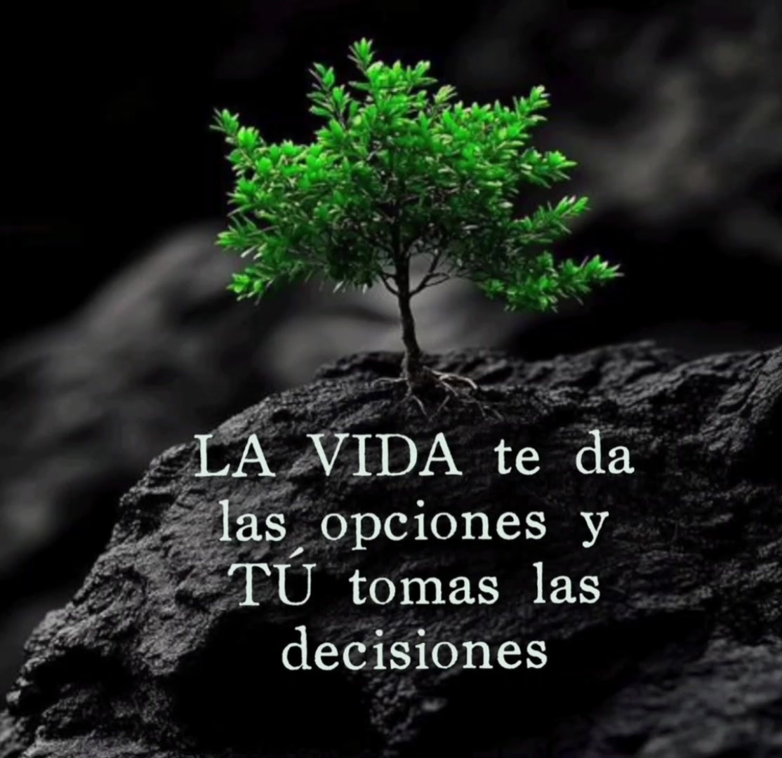 @cornejo jorge