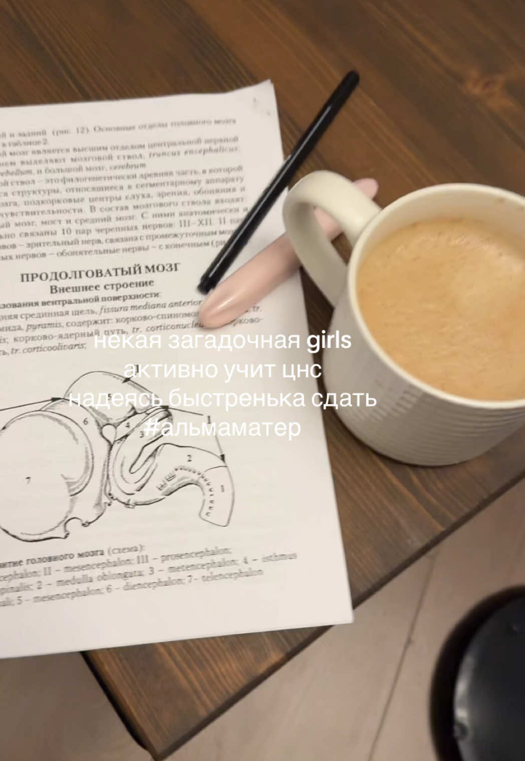 @цинковый злак